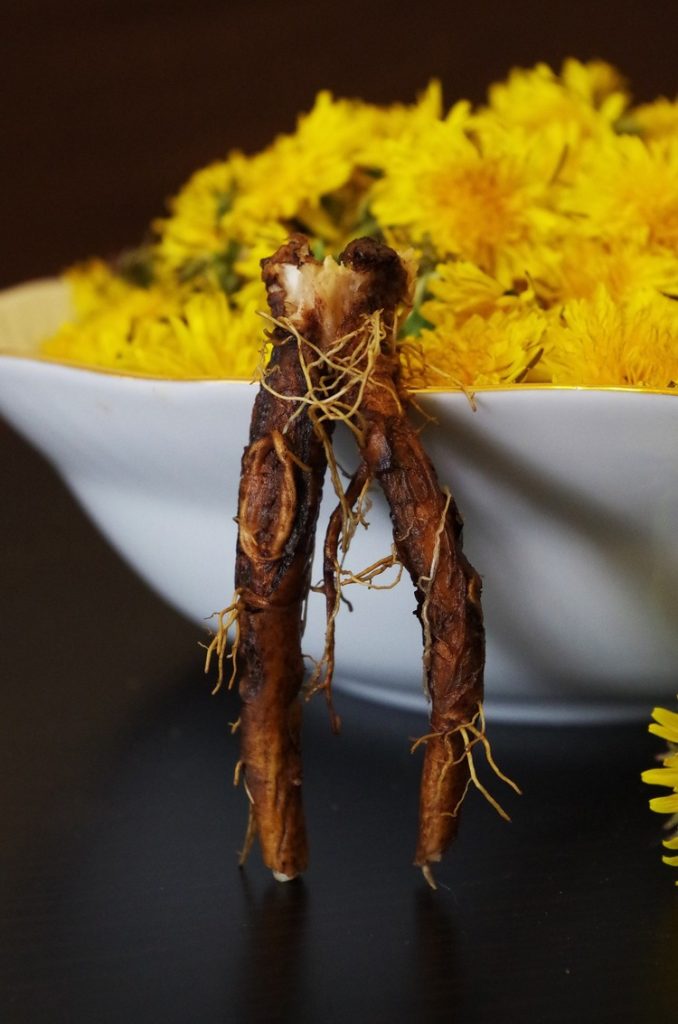 Teas That Taste Like Coffee, Dandelion Root