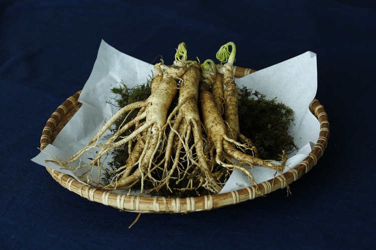 Adaptogen Teas, Ginseng